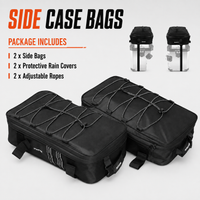 2 Side Bags
